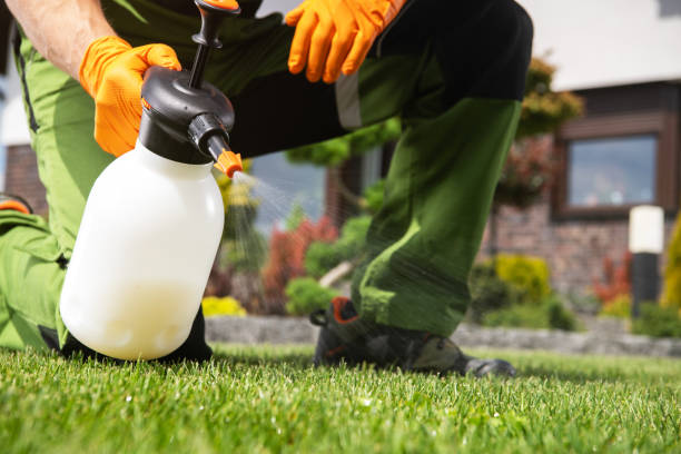 Pest Control Cost in Standish, MI