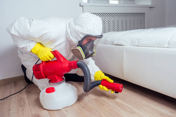 Flea Control Services in Standish, MI